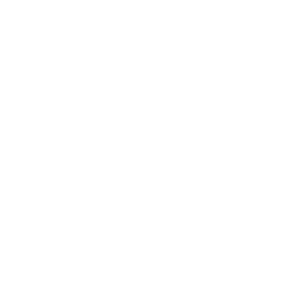 Social Pact logo animatie voorbeeld 1
